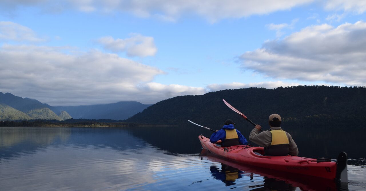 【Lake Mapourika】超レアなブルーキノコがミステリアスすぎました｜鏡張りの湖でカヤックツアー