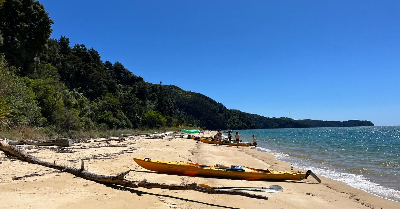 【Abel Tasman Coast Track】5日間トレック初日｜キャンプサイト通り過ぎ＆調理器具忘れで25km歩きました