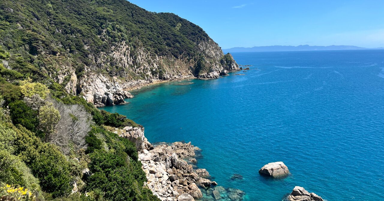 【Abel Tasman Coast Track】NZ狭すぎます｜フランス人カップルとの再会とトレック完歩